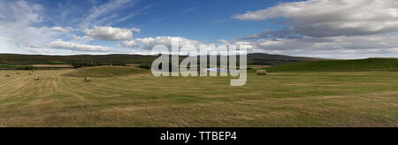 L'herbe tondue dans les highlands d'Ecosse Banque D'Images