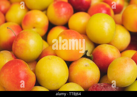 Prunes jaunes moelleux frais mûrs (cerises prunes) motif de près, vue de dessus Banque D'Images