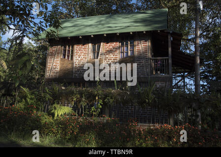 Fôret subtropical couvre le versant ouest de la Cordillère des Andes à 2200 mètres de haut Bellavista Lodge en haut de la vallée de Tandayapa en Equateur. Banque D'Images