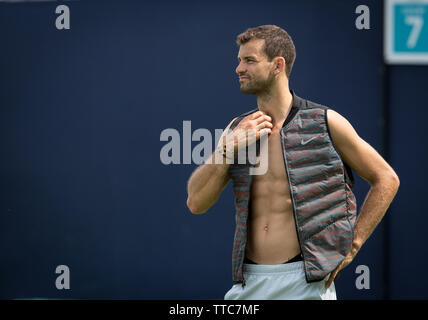 Londres, Royaume-Uni. 16 Juin, 2019. Grigor DIMITROV de la Bulgarie au cours de la pratique et de qualification de tennis à l'Fever-Tree Championships au Queen's Club, Londres, Angleterre le 16 juin 2019. Photo par Andy Rowland. Credit : premier Media Images/Alamy Live News Banque D'Images