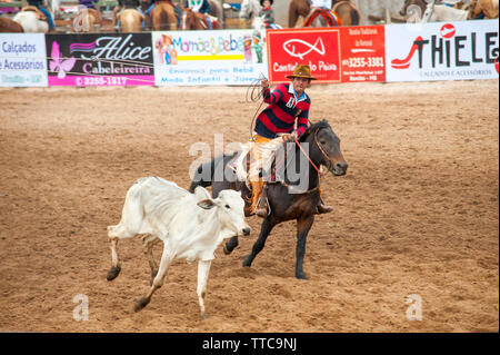 Rodeo est un passe-temps populaire dans le Mato Grosso do Sul, Brésil, ville Bonito Banque D'Images