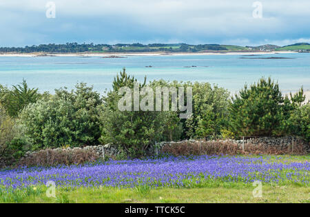 À l'échelle de Tresco à partir de St Martins, Îles Scilly, Ouest de l'Angleterre, Royaume-Uni Banque D'Images