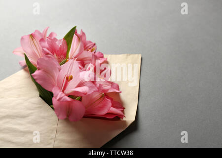 L'alstroemeria rose dans une enveloppe sur fond gris Banque D'Images