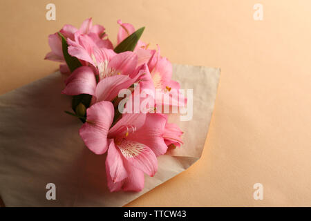 L'alstroemeria rose dans une enveloppe sur fond beige Banque D'Images