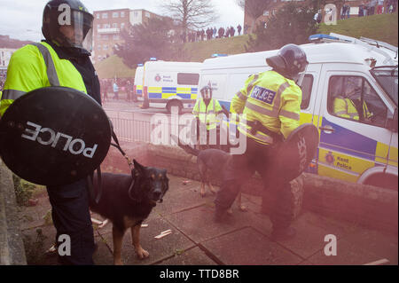 Dover, Kent, UK. 30 janvier, 2016. L'extrême droite et des groupes fascistes anti choc dans le centre de Douvres avec des projectiles qui sont échangées entre les deux o Banque D'Images