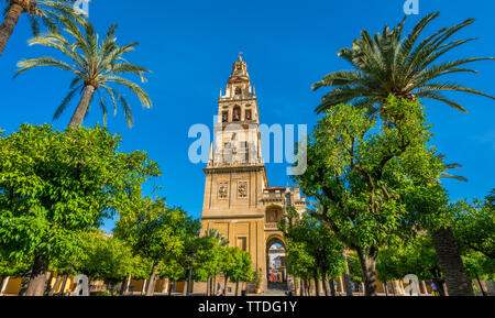 Clocher de la Cathédrale Mosquée Cordoba sur un matin ensoleillé. L'Andalousie, espagne. Banque D'Images