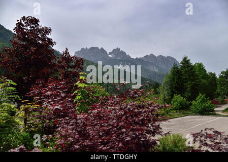 Forni di Sopra / ITALIE - Le 10 juin 2019 : une vue du centre-ville de la belle Dolomites en arrière-plan, arbres aux feuilles vert et rouge en t Banque D'Images