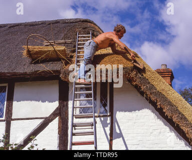 Travailleur de la réparation d'un toit de chaume chaume sur période cottage, Hartley Wintney, Hampshire, Angleterre, Royaume-Uni Banque D'Images