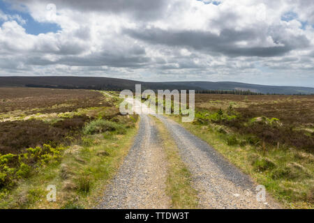 Traversez la tourbière et la terre battière au sommet de Wolftrap Mountain, Slieve Bloom Mountains, County Offaly, Irlande Banque D'Images