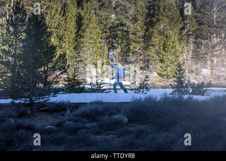 La fondeuse à neige un sentier dans une forêt de la Sierra Nevada en Californie , États-Unis ; Banque D'Images