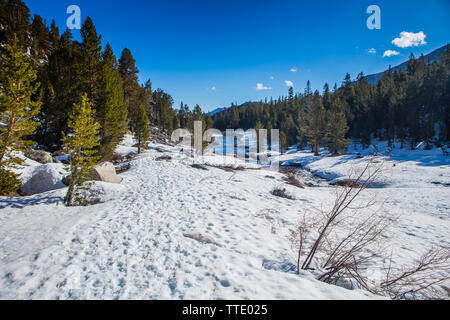 Rock Creek qui traverse les lacs peu couvertes de neige vallée bordée de pins dans la partie Est de la Sierra Nevada de Californie, USA Banque D'Images