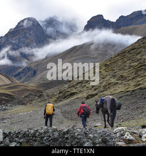 Un homme conduit sa mule le long d'un sentier de montagne à distance dans la région de Cusco au Pérou Banque D'Images