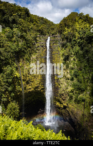 Une chute d'eau à Akaka Falls State Park près de Hilo, Hawaii Banque D'Images