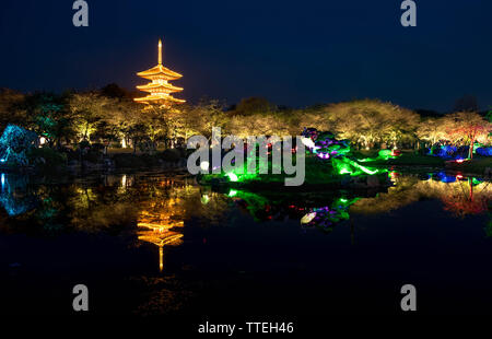 WUHAN HUBEI/-CHINE - 01 AVRIL 2019 -- Le paysage de nuit à Wuhan East Lake Sakura Garden. Ce temps est le sakura blossom saison. Pour un voyage autour de W Banque D'Images