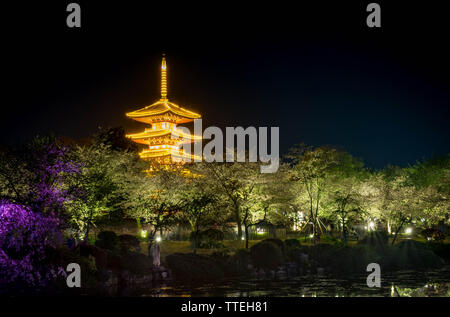 WUHAN HUBEI/-CHINE - 01 AVRIL 2019 -- Le paysage de nuit à Wuhan East Lake Sakura Garden. Ce temps est le sakura blossom saison. Pour un voyage autour de W Banque D'Images