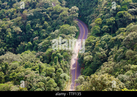 Rue entre les arbres de la forêt vue aérienne de ci-dessus, le Brésil, le pic Jaragua Banque D'Images