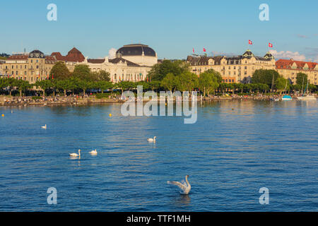 Zurich, Suisse - 16 juin 2019 : le lac de Zurich au coucher du soleil, les gens sur ses quais, bâtiments de la ville de Zurich à l'arrière-plan. Lac de Zurich je Banque D'Images