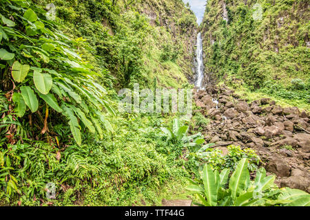 Trafalgar falls, Parc national du Morne Trois Pitons, Dominique Banque D'Images