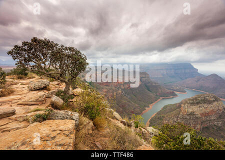 Trois Rondavels View Point dans le Blyde River Canyon, Afrique du Sud Banque D'Images