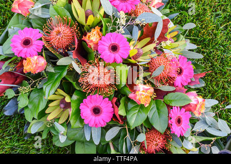 Close up d'arrangement de fleurs colorées. Banque D'Images