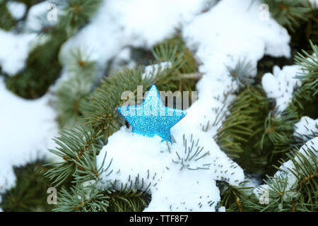 Blue star de Noël sur une branche d'arbre sapin enneigé Banque D'Images