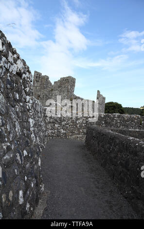 Ruines de l'abbaye bénédictine d'avancement médiévale, connu comme le lieu des sept merveilles, Fore, comté de Westmeath, Irlande Banque D'Images