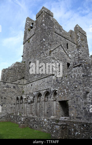 Ruines de l'abbaye bénédictine d'avancement médiévale, connu comme le lieu des sept merveilles, Fore, comté de Westmeath, Irlande Banque D'Images