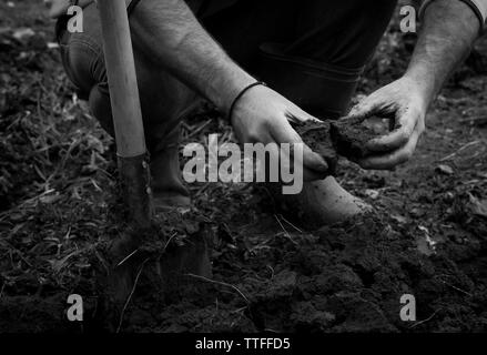 Strong man's hands que creuser le sol pour cultiver vegetab printemps Banque D'Images