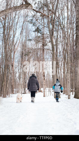 Femme plus âgée et l'enfant de marcher un chien sur un sentier boisé enneigé. Banque D'Images