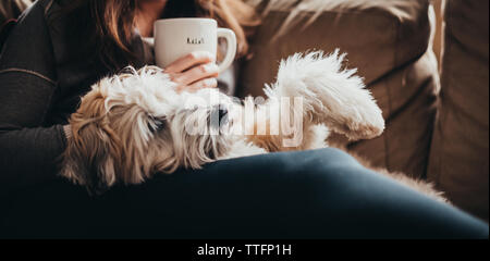 Woman holding tasse à café avec un chien portant sur ses genoux sur le canapé. Banque D'Images