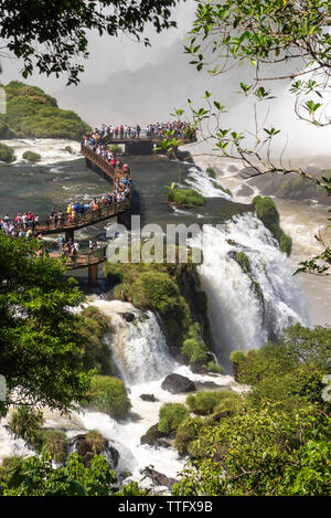 Beau paysage de touristes qui visitent les grandes chutes d'eaux dans des forêts tropicales