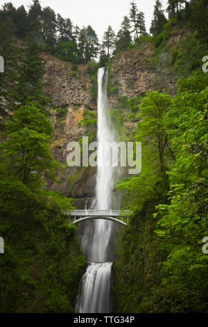 Low angle vue panoramique de Multnomah Falls sur rock formations in forest Banque D'Images