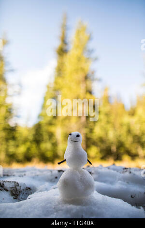 Bonhomme de neige miniature dans la forêt. Banque D'Images