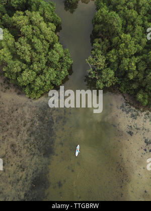 La forêt de mangrove en kayak homme Banque D'Images