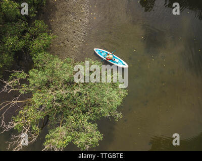 La forêt de mangrove en kayak homme Banque D'Images