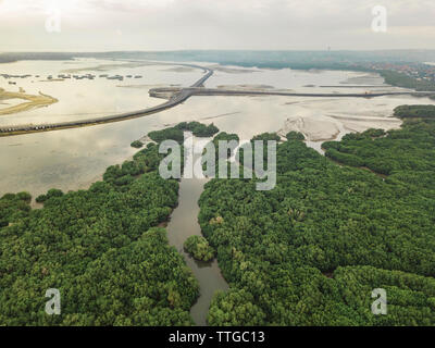 Vue aérienne de la forêt de mangrove Banque D'Images