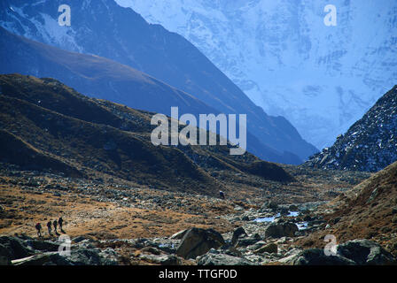 Les randonneurs dans la vallée de Gokyo Everest Népal Région Banque D'Images