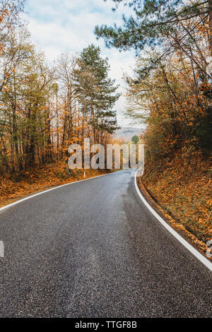 La route d'asphalte à travers la forêt jaune en Toscane, saison d'automne Banque D'Images