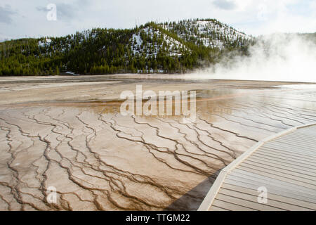 Vue panoramique de Mammoth Hot Springs dans le Parc National de Yellowstone Banque D'Images