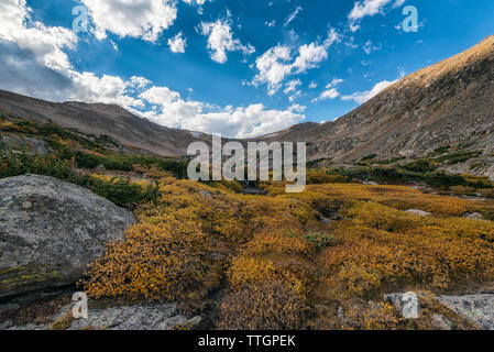 La toundra de l'automne dans l'Indian Peaks Wilderness Banque D'Images