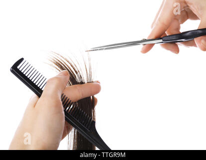 Les mains avec des ciseaux de coiffure brun foncé coupe mèche de cheveux, isolated on white Banque D'Images