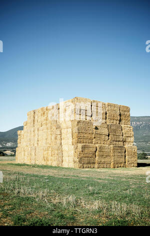 Pile de bottes de foin sur le terrain contre ciel clair Banque D'Images