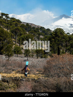 Une femmes splitboarder regarde Volcan Copahue, crachant de la fumée et des cendres Banque D'Images