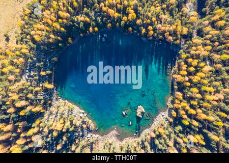 Mélèzes miroité en Lago di Saoseo dans atumn, Suisse Banque D'Images
