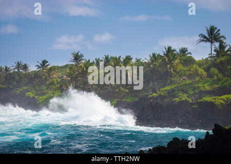 Noir rugueux côte au Waianapanapa State Park sur l'île hawaïenne de Maui, le long de la route de Hana, USA Banque D'Images