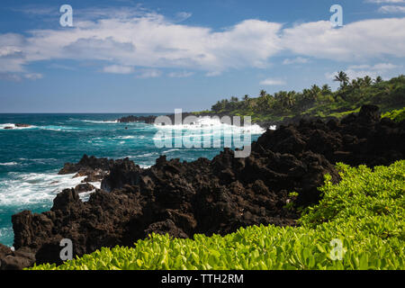 Noir rugueux côte au Waianapanapa State Park sur l'île hawaïenne de Maui, le long de la route de Hana, USA Banque D'Images