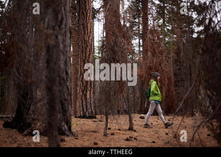 Vue de côté femme marche au milieu d'arbres en forêt