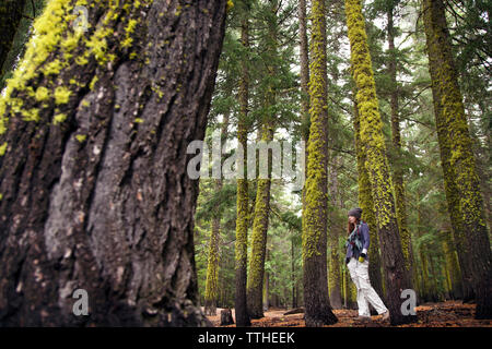 Low angle view of woman walking au milieu d'arbres en forêt