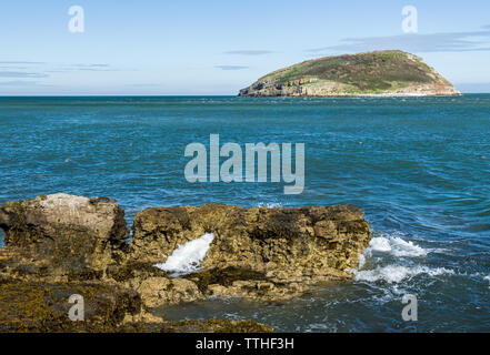 Puffin Island au large de la côte d'Anglesey près de Penmon sur la côte sud-est, au nord du Pays de Galles Banque D'Images