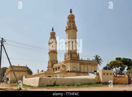 Minaret jaune et mur de la Mosquée Jamia Masjid, également utilisé comme logement pigeon, Srirangapatna, Mysore, Karnataka, Inde Banque D'Images